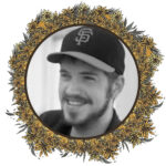 Matt Harding